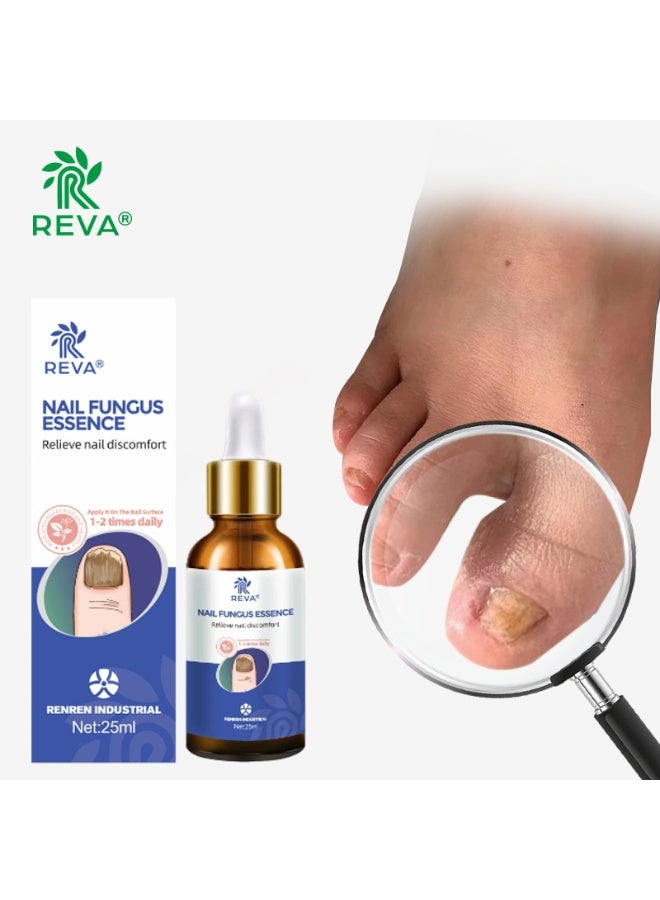 ريفا محلول ريفا لعلاج فطريات الأظافر ومضاد للبكتيريا: إصلاح احترافي موجه، اختراق عميق، يحسن مشاكل فطريات الأظافر (30 مل) - Image 4